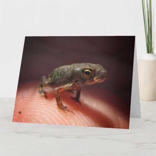 Niedlich Tiny Baby Toad / Kaulquappe Karte (Vorderseite)