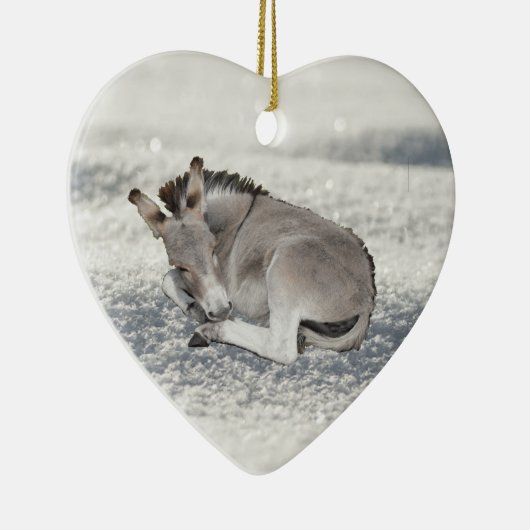 Niedlich Tiny Donkey Foal in Snow Keramik Ornament (Rechts)