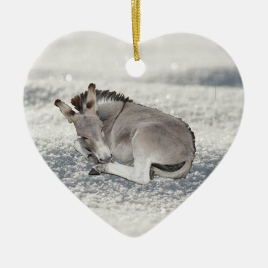 Niedlich Tiny Donkey Foal in Snow Keramik Ornament (Vorne)
