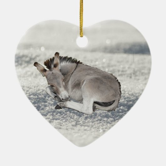 Niedlich Tiny Donkey Foal in Snow Keramik Ornament (Hinten)