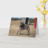 Niedlich Tiny Donkey Foal Karte (Gelbe Blume)