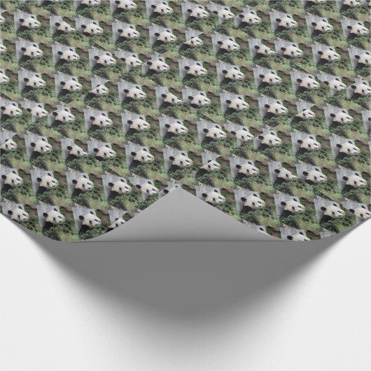 Niedlich Tiny Pandas, grün Geschenkpapier (Ecke)