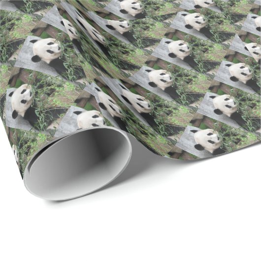 Niedlich Tiny Pandas, grün Geschenkpapier (Rolleneckpunkt)