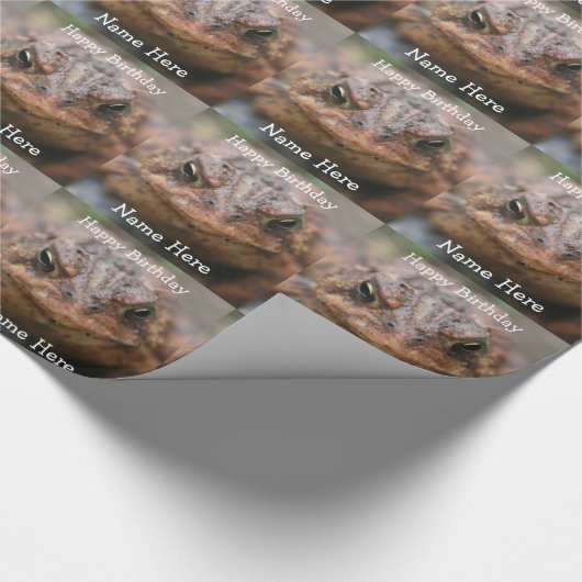 Niedlich Toad Frosch Face Geburtstag Geschenkpapier (Ecke)