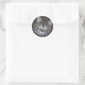 Niedlich Torbie Kitten Runder Aufkleber (Tasche)