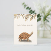 Niedlich Tortoise Brown Personalisiert Geburtstag Postkarte (Stehend Vorderseite)