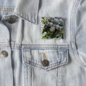 Niedlich Turtle Button (Beispiel)