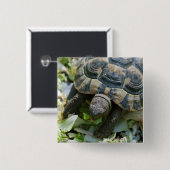 Niedlich Turtle Button (Vorne & Hinten)