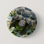 Niedlich Turtle Button (Vorderseite)