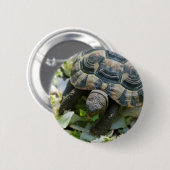Niedlich Turtle Button (Vorne & Hinten)