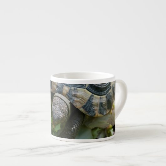 Niedlich Turtle Espressotasse (Vorderseite Rechts)