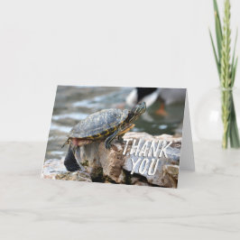 Niedlich Turtle Foto Dankeschön Karte
