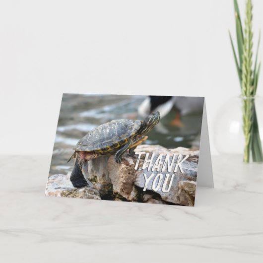 Niedlich Turtle Foto Dankeschön Karte (Vorderseite)