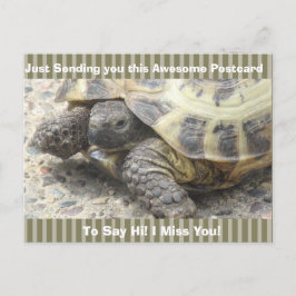 Niedlich Turtle "I Miss YOU" Sprichwort Hi Post Ca Postkarte