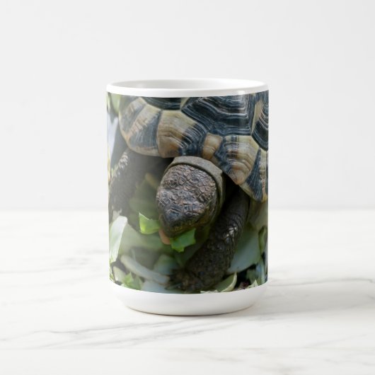 Niedlich Turtle Kaffeetasse (Mittel)