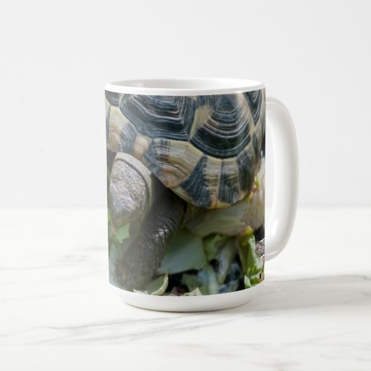 Niedlich Turtle Kaffeetasse (VorderseiteRechts)