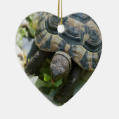 Niedlich Turtle Keramik Ornament (Rechts)