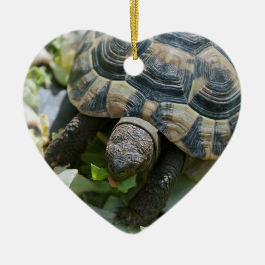 Niedlich Turtle Keramik Ornament (Vorne)