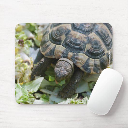 Niedlich Turtle Mousepad (Mit Mouse)