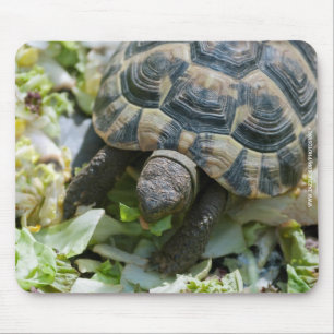 Niedlich Turtle Mousepad