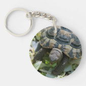 Niedlich Turtle Schlüsselanhänger (Vorderseite)