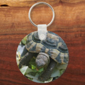 Niedlich Turtle Schlüsselanhänger (Vorderseite)