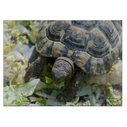 Niedlich Turtle Schneidebrett (Vorderseite)