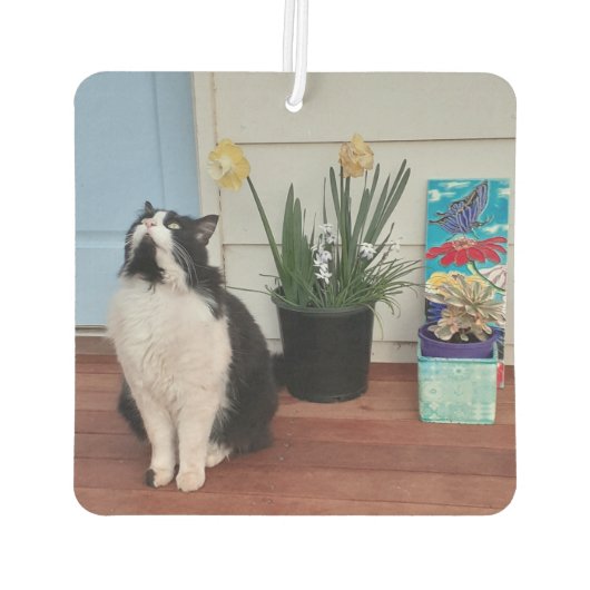 Niedlich Tuxedo Katzen Schwarz-weiße Katzen Blumen Autolufterfrischer (Rückseite)