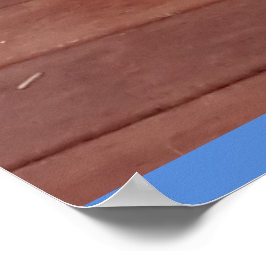 Niedlich Tuxedo Katzen Schwarz-weiße Katzen Blumen Poster (Ecke)