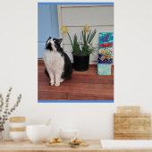 Niedlich Tuxedo Katzen Schwarz-weiße Katzen Blumen Poster (Küche)