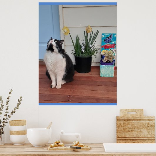 Niedlich Tuxedo Katzen Schwarz-weiße Katzen Blumen Poster (Küche)