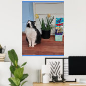 Niedlich Tuxedo Katzen Schwarz-weiße Katzen Blumen Poster (Heimbüro)