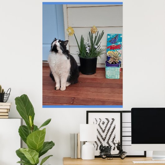 Niedlich Tuxedo Katzen Schwarz-weiße Katzen Blumen Poster (Heimbüro)