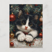 Niedlich Tuxedo Kitten Christmas Cat Art Postkarte (Vorderseite)