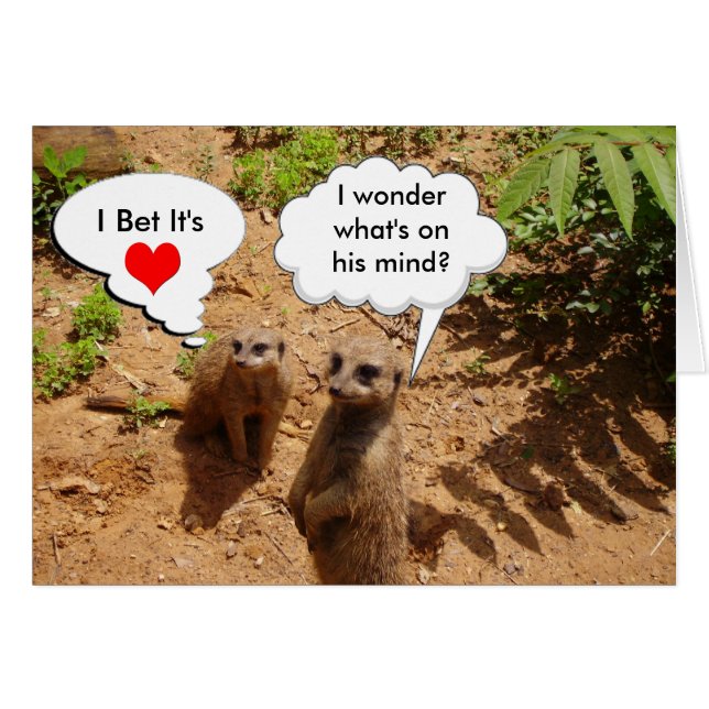 Niedlich und anpassbar (Vorderseite (Horizontal))