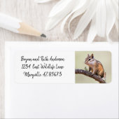 Niedlich und chubby chipmunk (Insitu)