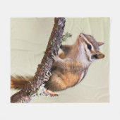 Niedlich und Chubby Chipmunk Fleecedecke (Vorderseite (Horizontal))