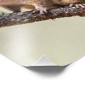 Niedlich und chubby chipmunk fotodruck (Ecke)