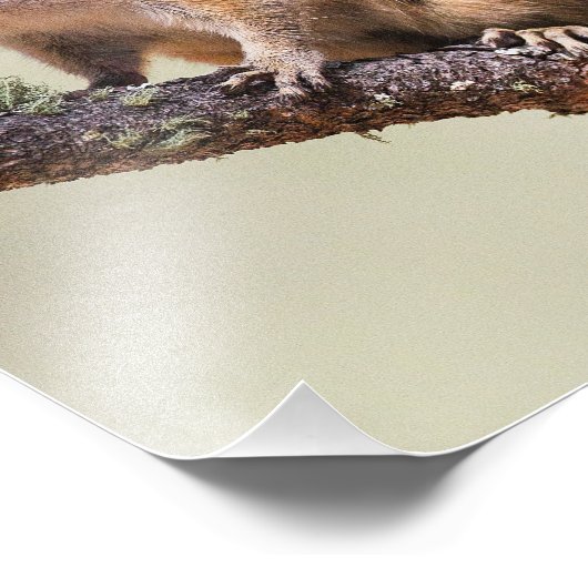 Niedlich und chubby chipmunk fotodruck (Ecke)