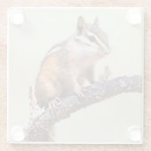 Niedlich und Chubby Chipmunk Glasuntersetzer (Rückseite)