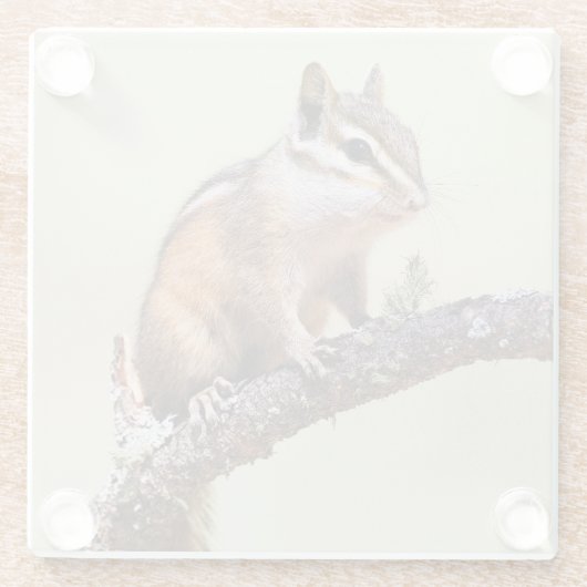 Niedlich und Chubby Chipmunk Glasuntersetzer (Rückseite)