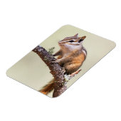 Niedlich und Chubby Chipmunk Magnet (Linke Seite)
