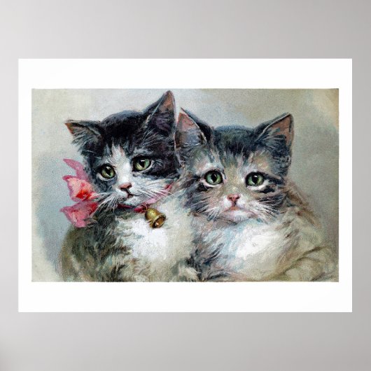 Niedlich und Niedlicher, Adorable Kittens, Poster (Vorne)