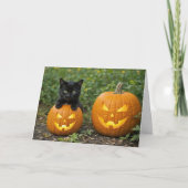 Niedlich und Spaß Black Cat Kitten Halloween Pumpk Karte (Vorderseite)