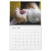 Niedlich und Spaß "Kitty Koolness" 2024 Katzenkale Kalender (Jan 2027)