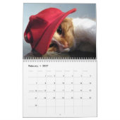 Niedlich und Spaß "Kitty Koolness" 2024 Katzenkale Kalender (Feb 2027)
