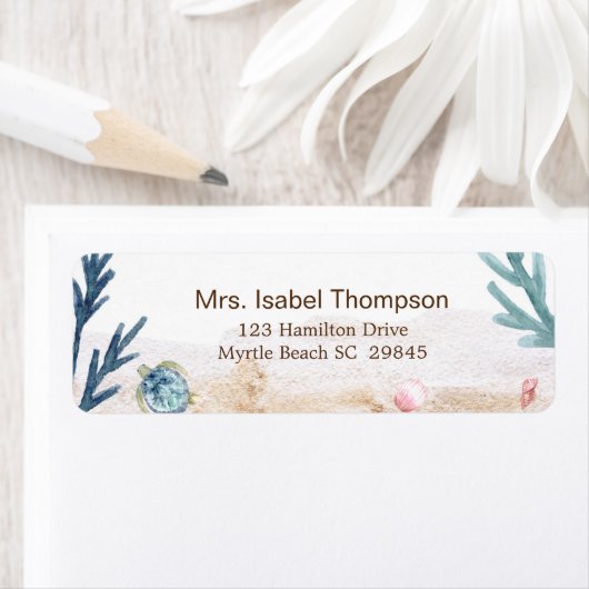 Niedlich unter dem Schildkrötenaufkleber (Insitu)