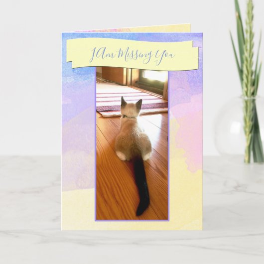 Niedlich Vermisst Sie Siamese Kitten Foto Platzhal Karte (Vorderseite)
