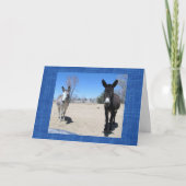 Niedlich Vet School Graduate Western Ranch Farm DV Karte (Vorderseite)