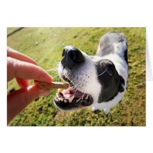 Niedlich vielen Dank für die Sitzkarte für Haustie (Vorderseite (Horizontal))